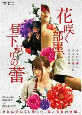 回声实验 磁力资源封面